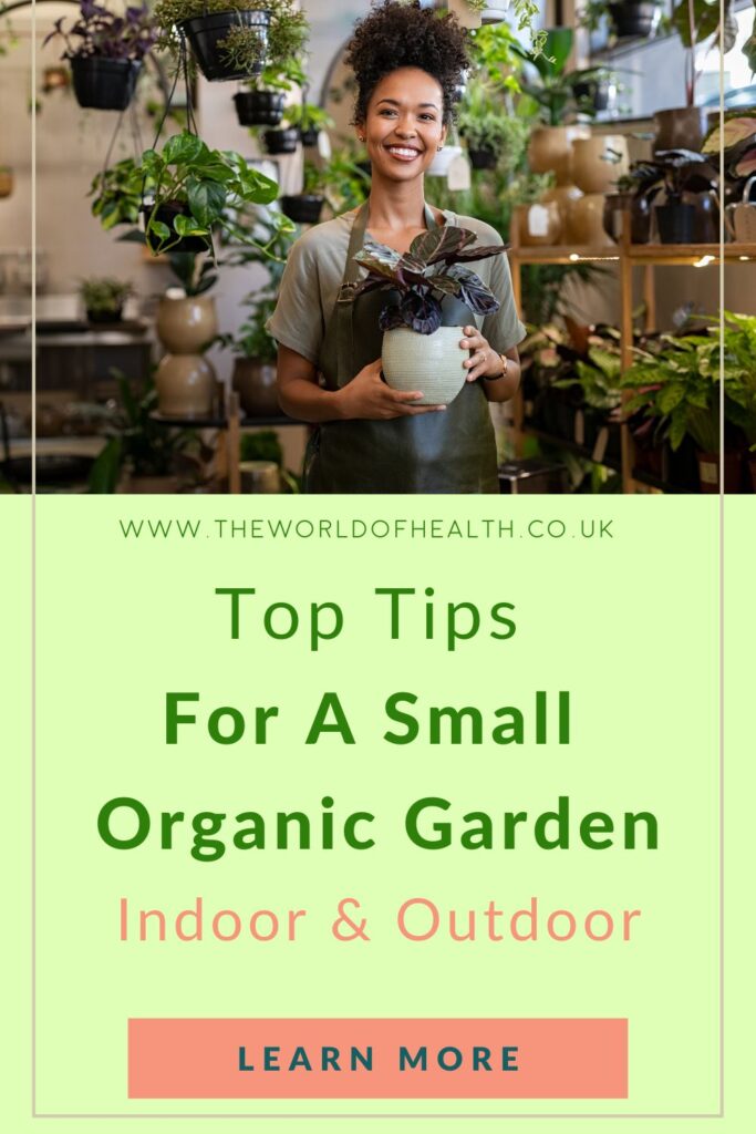 How To Grow A Small Organic Garden Indoors and Outdoors