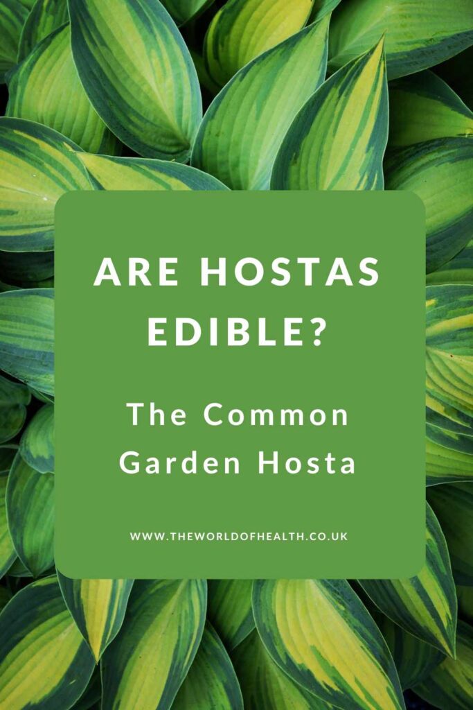 Are Hostas Edible - The Garden Hostas You Can Eat
