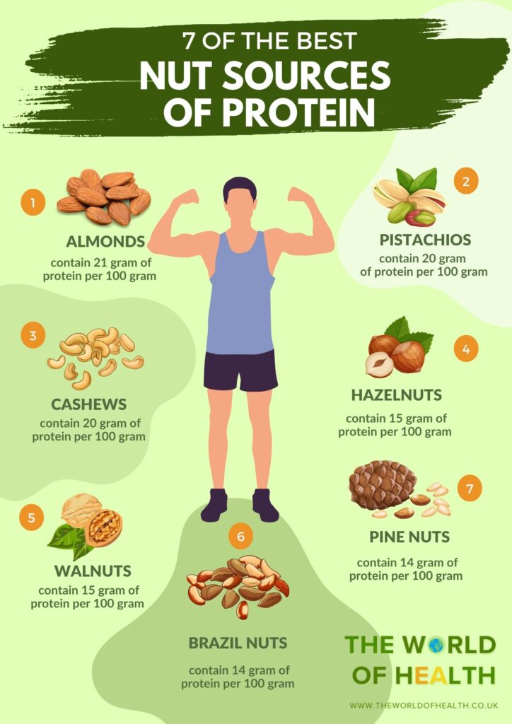 Nut Sources Of Protein Infographic