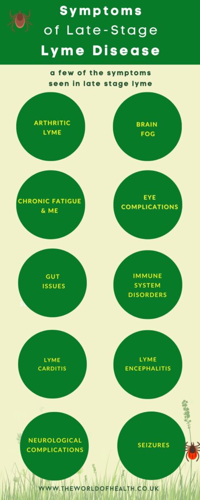 Infographic Lyme Disease - Symptoms Of Late-Stage Lyme Disease