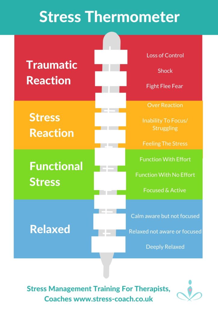 stress thermometer Infographic
